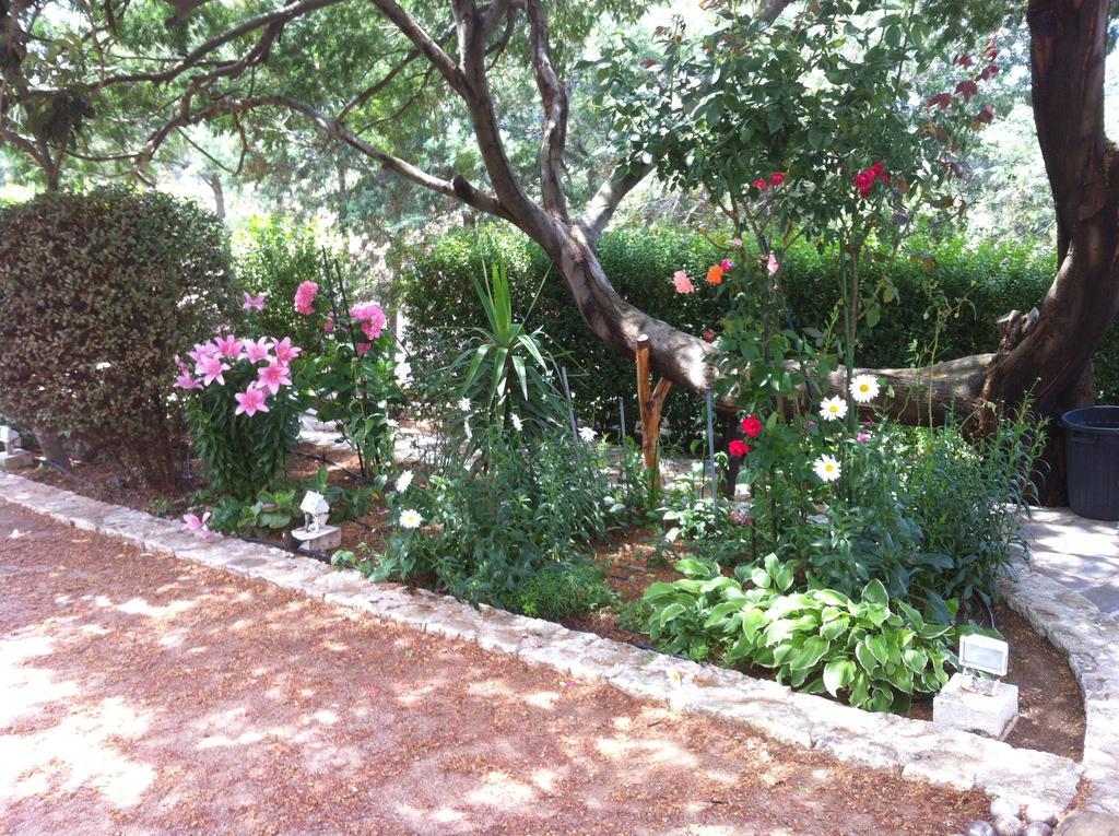 Villa Elofred Saint-Florent  Habitación foto